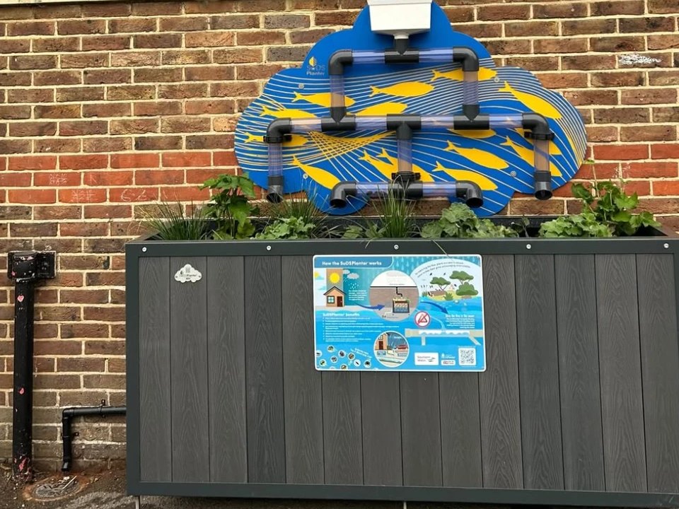 A new rain-garden planter against the school wall, with clear pipes showing how rainwater from the roof feeds the plants
