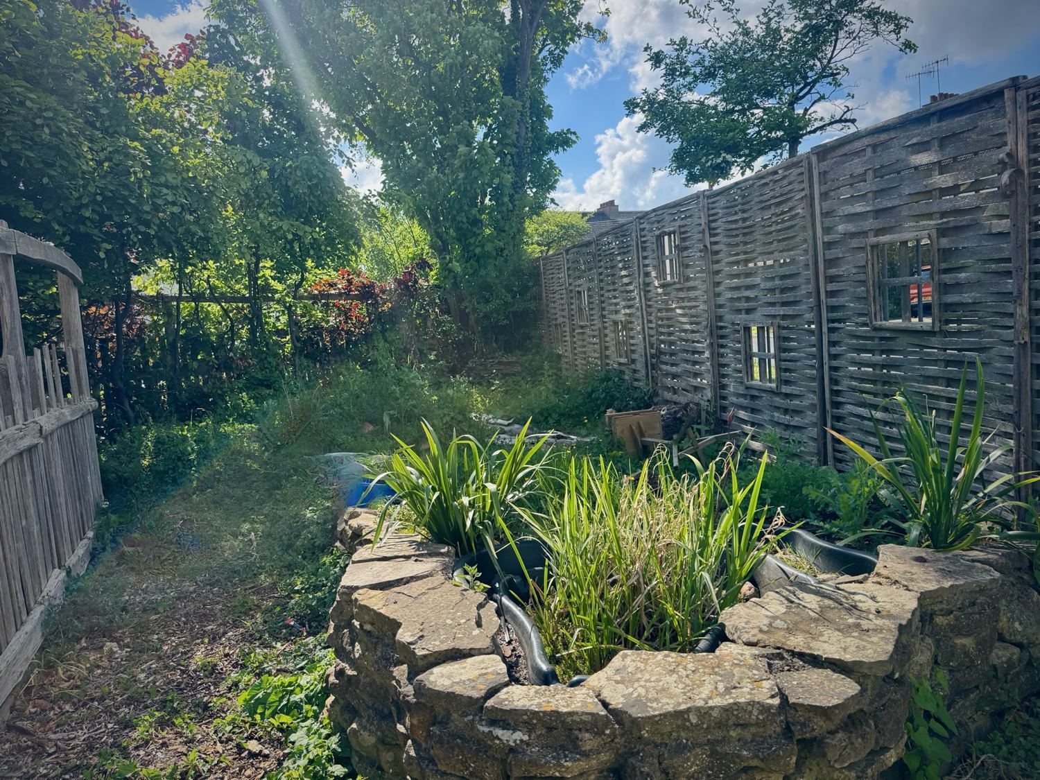 The pond in Mary's Garden — a stone-built circular pond with plants growing in and around it, willow fencing behind, sun glare and trees overhead.