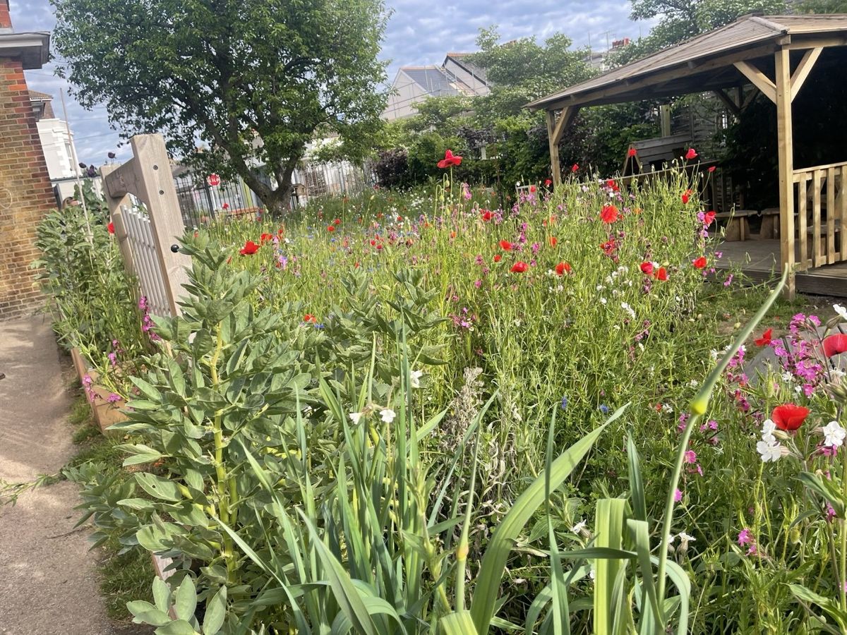 Mary's Garden — the wildflower-and-pond nature space at the front of the school